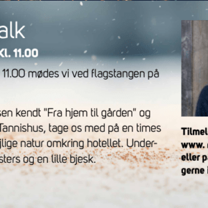 Nytårs Walk med Allan 31/12 – 2026